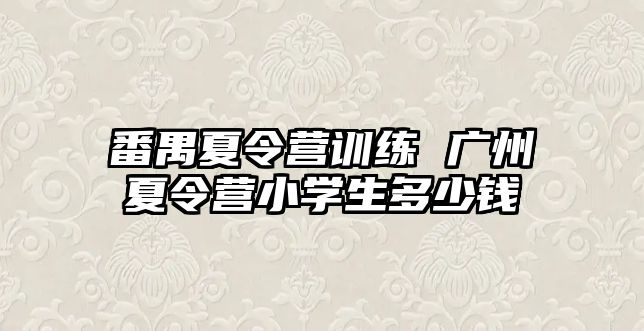 番禺夏令營訓練 廣州夏令營小學生多少錢