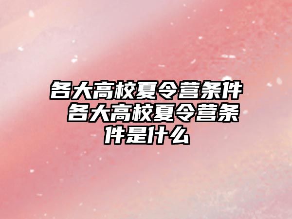 各大高校夏令營條件 各大高校夏令營條件是什么