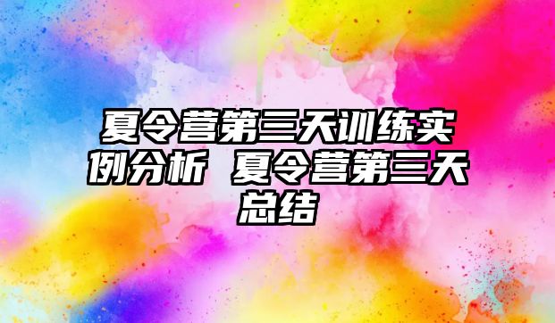 夏令營第三天訓(xùn)練實例分析 夏令營第三天總結(jié)