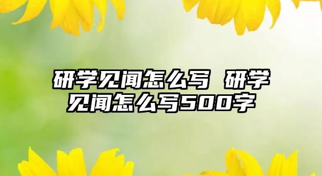 研學(xué)見聞怎么寫 研學(xué)見聞怎么寫500字