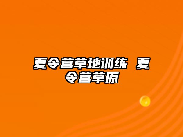 夏令營草地訓(xùn)練 夏令營草原