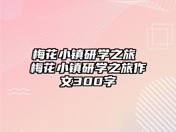 梅花小鎮(zhèn)研學之旅 梅花小鎮(zhèn)研學之旅作文300字