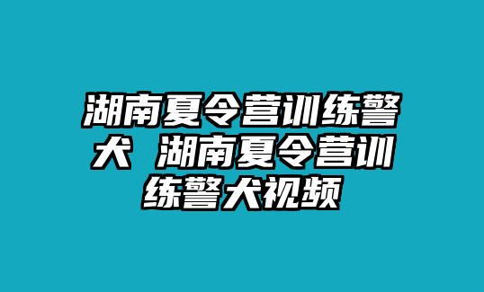 湖南夏令營訓(xùn)練警犬 湖南夏令營訓(xùn)練警犬視頻