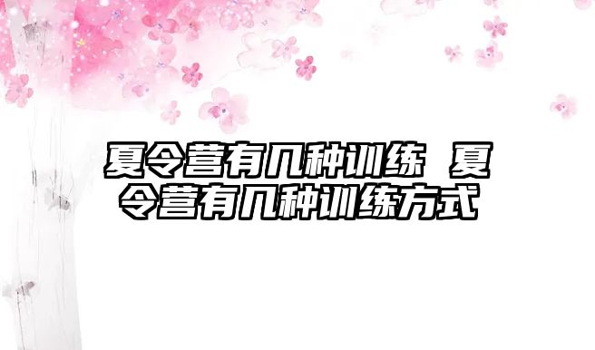 夏令營有幾種訓(xùn)練 夏令營有幾種訓(xùn)練方式