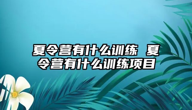 夏令營有什么訓(xùn)練 夏令營有什么訓(xùn)練項(xiàng)目