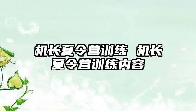 機長夏令營訓練 機長夏令營訓練內(nèi)容