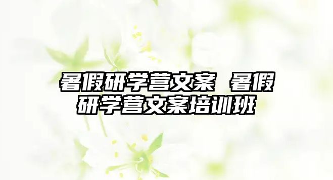 暑假研學(xué)營文案 暑假研學(xué)營文案培訓(xùn)班