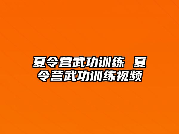 夏令營(yíng)武功訓(xùn)練 夏令營(yíng)武功訓(xùn)練視頻