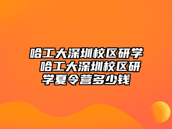 哈工大深圳校區(qū)研學(xué) 哈工大深圳校區(qū)研學(xué)夏令營多少錢