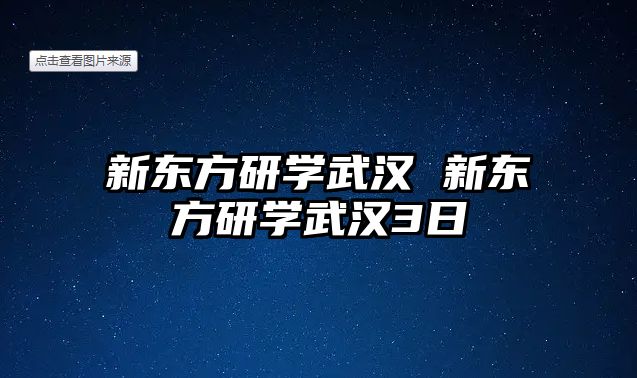 新東方研學(xué)武漢 新東方研學(xué)武漢3日