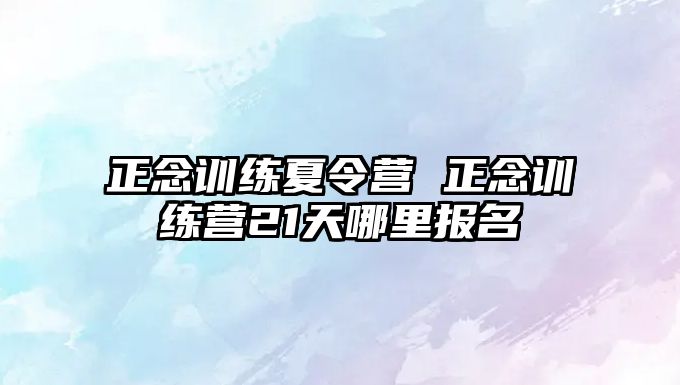 正念訓練夏令營 正念訓練營21天哪里報名