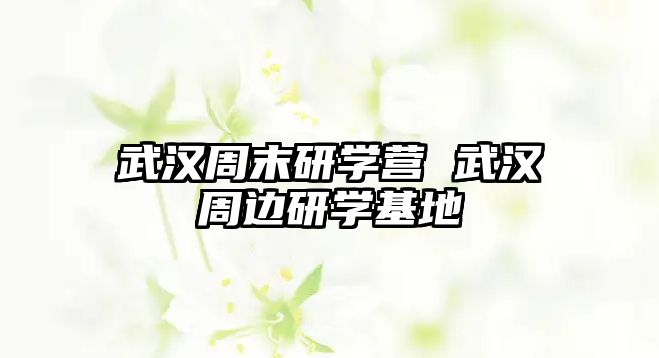 武漢周末研學營 武漢周邊研學基地