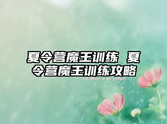 夏令營(yíng)魔王訓(xùn)練 夏令營(yíng)魔王訓(xùn)練攻略