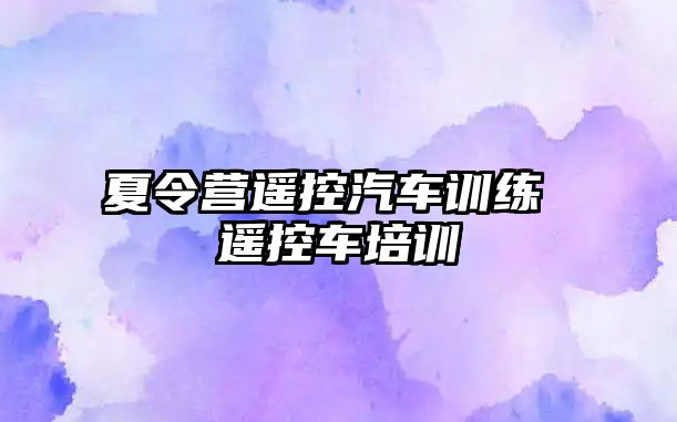 夏令營遙控汽車訓(xùn)練 遙控車培訓(xùn)