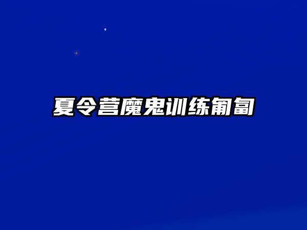 夏令營魔鬼訓(xùn)練匍匐 