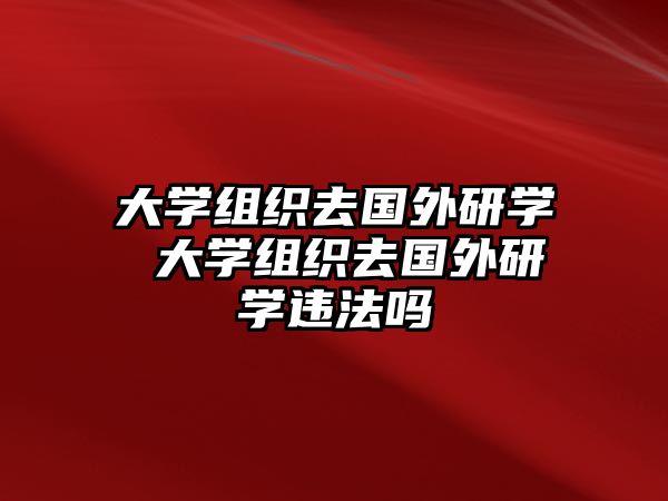 大學組織去國外研學 大學組織去國外研學違法嗎