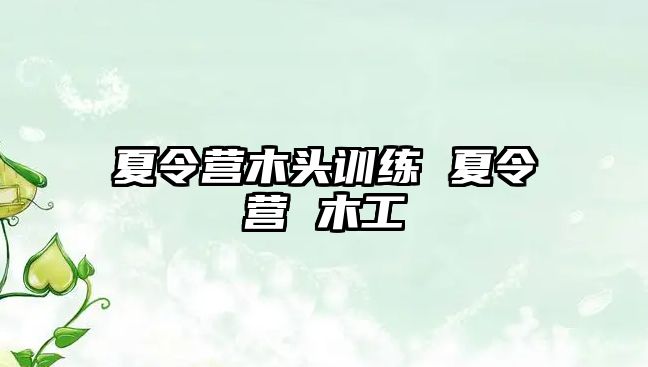 夏令營木頭訓練 夏令營 木工