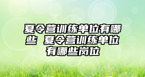 夏令營訓(xùn)練單位有哪些 夏令營訓(xùn)練單位有哪些崗位