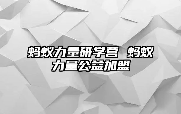 螞蟻力量研學(xué)營 螞蟻力量公益加盟