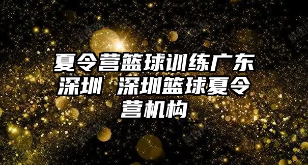 夏令營籃球訓(xùn)練廣東深圳 深圳籃球夏令營機(jī)構(gòu)