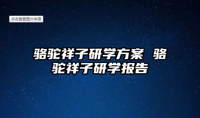 駱駝祥子研學(xué)方案 駱駝祥子研學(xué)報(bào)告