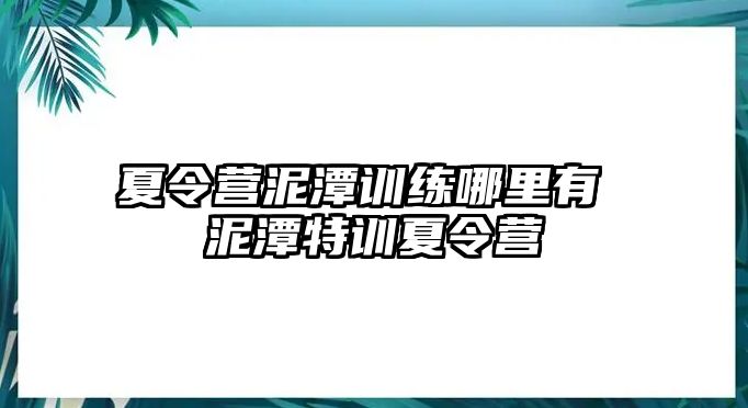 夏令營(yíng)泥潭訓(xùn)練哪里有 泥潭特訓(xùn)夏令營(yíng)