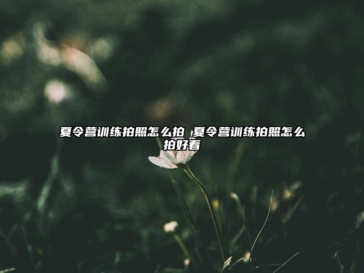 夏令營(yíng)訓(xùn)練拍照怎么拍 夏令營(yíng)訓(xùn)練拍照怎么拍好看