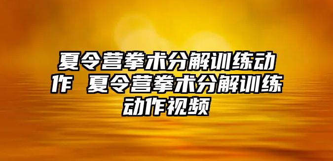 夏令營拳術(shù)分解訓(xùn)練動作 夏令營拳術(shù)分解訓(xùn)練動作視頻