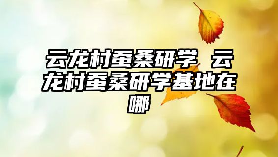 云龍村蠶桑研學 云龍村蠶桑研學基地在哪