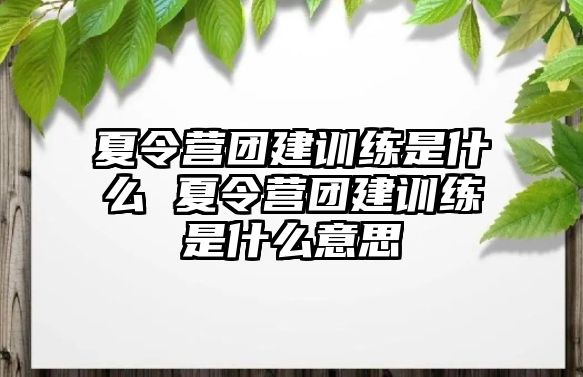 夏令營(yíng)團(tuán)建訓(xùn)練是什么 夏令營(yíng)團(tuán)建訓(xùn)練是什么意思