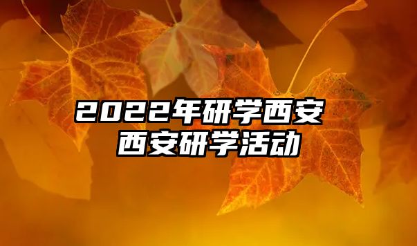 2022年研學西安 西安研學活動