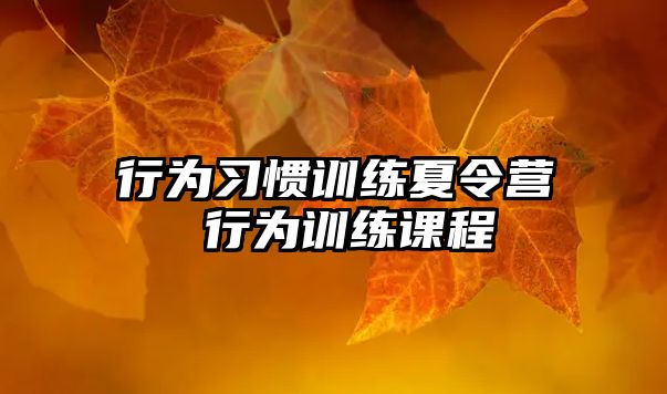 行為習(xí)慣訓(xùn)練夏令營 行為訓(xùn)練課程