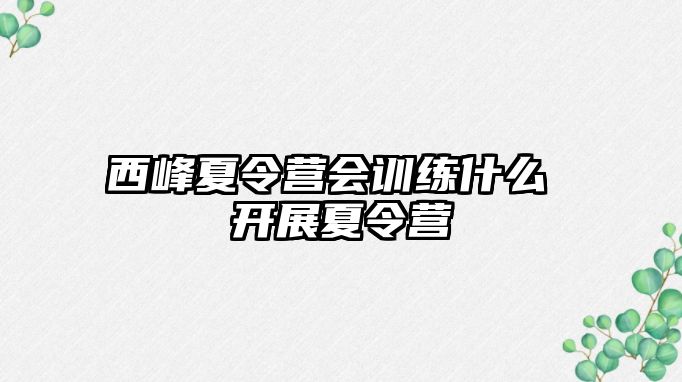 西峰夏令營會訓練什么 開展夏令營