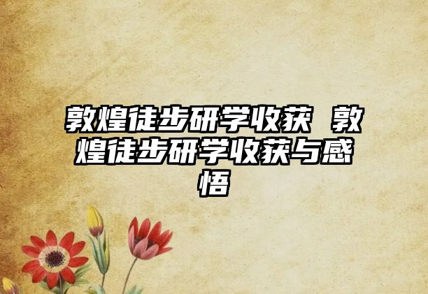 敦煌徒步研學(xué)收獲 敦煌徒步研學(xué)收獲與感悟