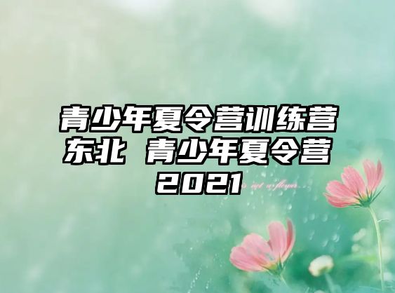 青少年夏令營訓(xùn)練營東北 青少年夏令營2021