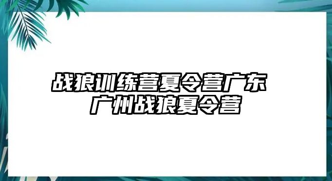 戰(zhàn)狼訓(xùn)練營夏令營廣東 廣州戰(zhàn)狼夏令營