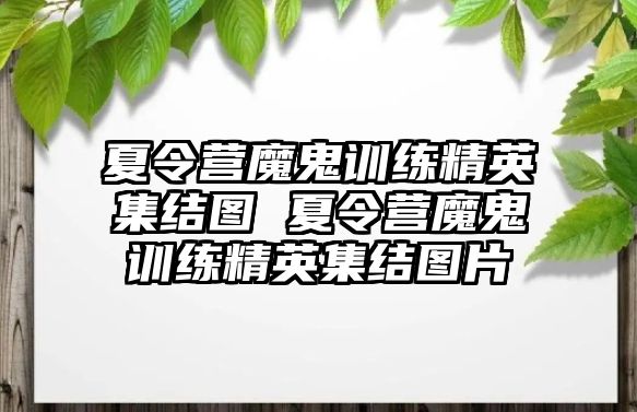 夏令營魔鬼訓(xùn)練精英集結(jié)圖 夏令營魔鬼訓(xùn)練精英集結(jié)圖片