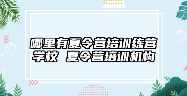 哪里有夏令營培訓練營學校 夏令營培訓機構(gòu)