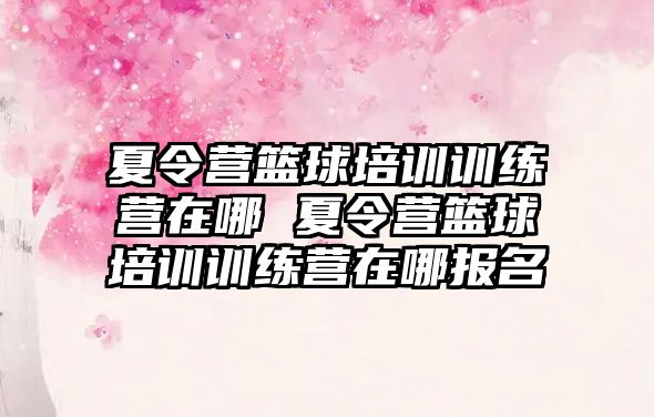 夏令營籃球培訓訓練營在哪 夏令營籃球培訓訓練營在哪報名