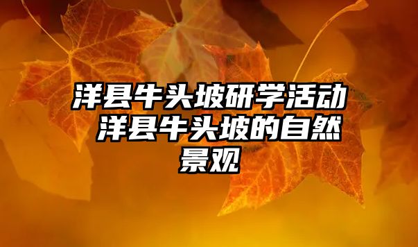 洋縣牛頭坡研學(xué)活動 洋縣牛頭坡的自然景觀