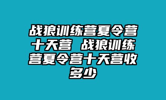 戰(zhàn)狼訓(xùn)練營夏令營十天營 戰(zhàn)狼訓(xùn)練營夏令營十天營收多少