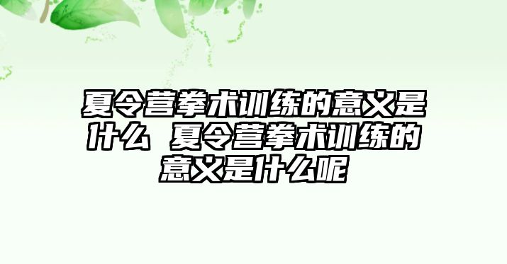 夏令營拳術(shù)訓(xùn)練的意義是什么 夏令營拳術(shù)訓(xùn)練的意義是什么呢